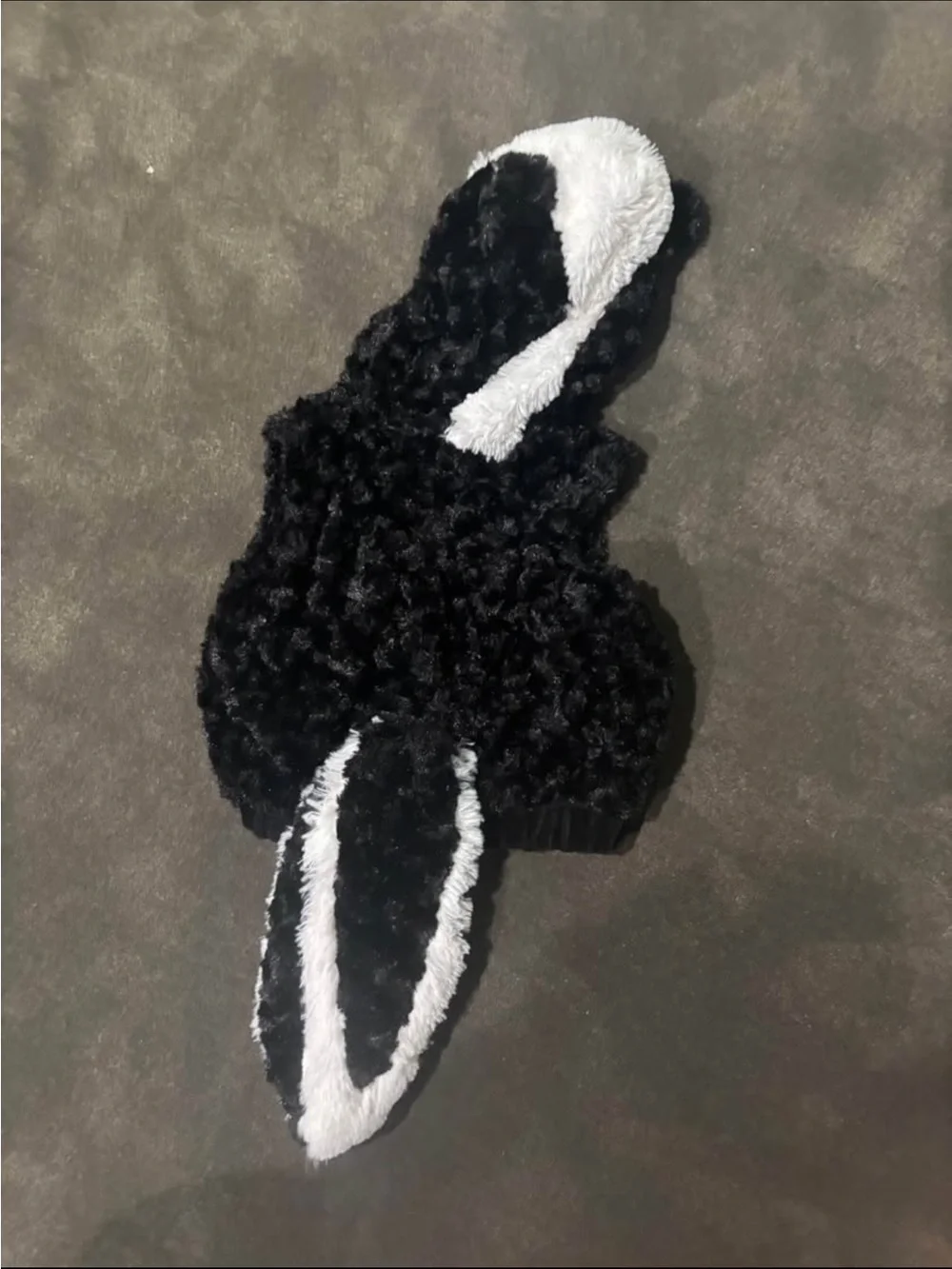 N/A baby skunk